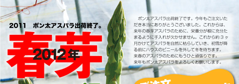 2011年夏芽、ご予約承り中!!ご注文お待ちしております。