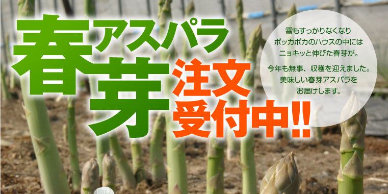 2012�N�t�育�\�񏳂蒆!!���������҂����Ă���܂��B